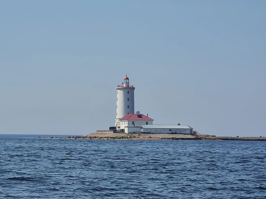 scale_2400 (11).jpg